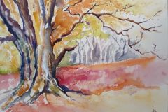Alter-Baum