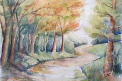 Waldweg-Jenzig