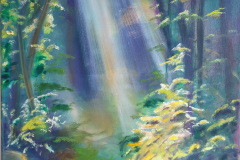 Waldweg-im-Licht