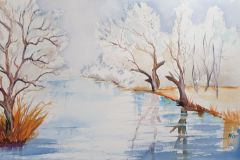 Winter-am-Fluss