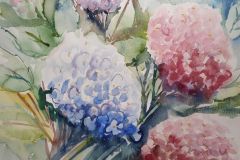 Hortensie-2