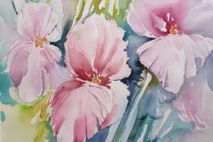 Lilien