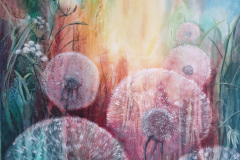Pusteblumen