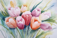 Tulpen